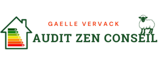 AUDIT ZEN CONSEIL